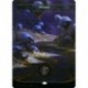 (Galaxy Foil) Land - Swamp (V1) (C) [UNF]