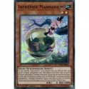 Intrépide Mannadium (SR) [CYAC]