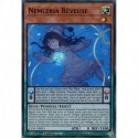 Nemleria Rêveuse (SR) [CYAC]
