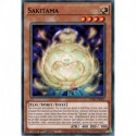 Sakitama (C) [CYAC]