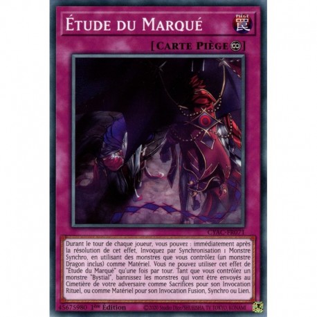 Étude du Marqué (C) [CYAC]