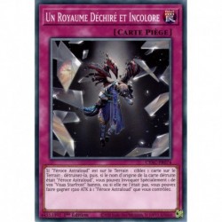 Un Royaume Déchiré et Incolore (C) [CYAC]