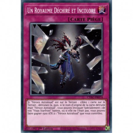 Un Royaume Déchiré et Incolore (C) [CYAC]