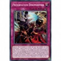 Préservation Dinomorphia (C) [CYAC]