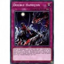 Double Hameçon (C) [CYAC]