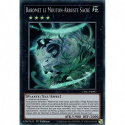 Baromet le Mouton-Arbuste Sacré (SR) [CYAC]