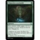 (FOIL) Verte - Adaptation arachnoïde (C) [MOM]
