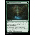(FOIL) Verte - Adaptation arachnoïde (C) [MOM]