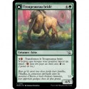 (FOIL) Verte - Troupeaurau bridé (C) [MOM]