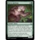 (FOIL) Verte - Kavru mâcheur (C) [MOM]