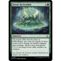 (FOIL) Verte - Faveur du fertilide (C) [MOM]