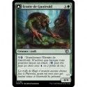 (FOIL) Verte - Ermite de Gnottvold (U) [MOM]