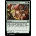 (FOIL) Verte - Descente en tandem (U) [MOM]