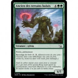 (FOIL) Verte - Ancien des terrains boisés (C) [MOM]