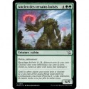 (FOIL) Verte - Ancien des terrains boisés (C) [MOM]