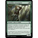 (FOIL) Verte - Comédien circonspect (C) [MOM]