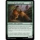 (FOIL) Verte - Escorte du bois sauvage (C) [MOM]