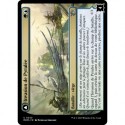 (FOIL) Multicolore - Invasion de Pyrulée (U) [MOM]