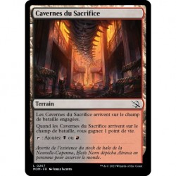 (FOIL) Terrain - Cavernes du Sacrifice (C) [MOM]