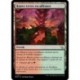 (FOIL) Terrain - Hautes terres rocailleuses (C) [MOM]