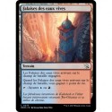 (FOIL) Terrain - Falaises des eaux vives (C) [MOM]