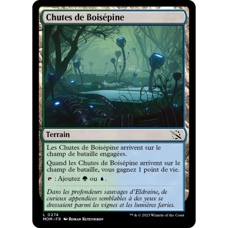 (FOIL) Terrain - Chutes de Boisépine (C) [MOM]
