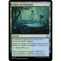 (FOIL) Terrain - Chutes de Boisépine (C) [MOM]