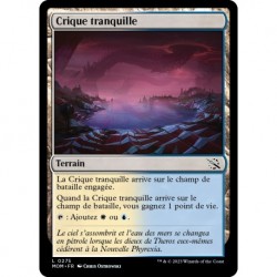 (FOIL) Terrain - Crique tranquille (C) [MOM]
