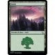 (FOIL) Terrain - Forêt (V1) (L) [MOM]