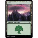 (FOIL) Terrain - Forêt (V1) (L) [MOM]