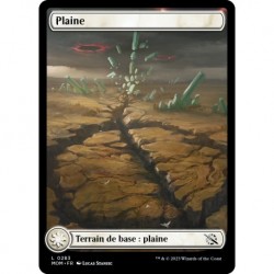 (FOIL) Terrain - Plaine (V3) (L) [MOM]