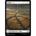 (FOIL) Terrain - Plaine (V3) (L) [MOM]