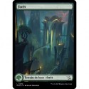 (FOIL) Terrain - Forêt (V2) (L) [MOM]