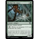 (FOIL) Verte - Recluse des ruines (U) [MOM]