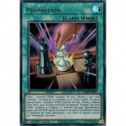 Promotion (UR) [BLMR]