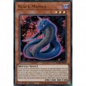 Black Mamba (UR) [BLMR]