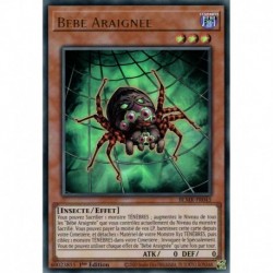 Bébé Araignée (UR) [BLMR]