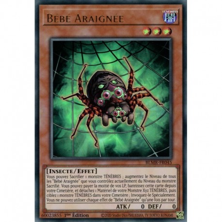 Bébé Araignée (UR) [BLMR]