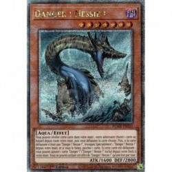 Danger ! Nessie ! (QCSE) [BLMR]