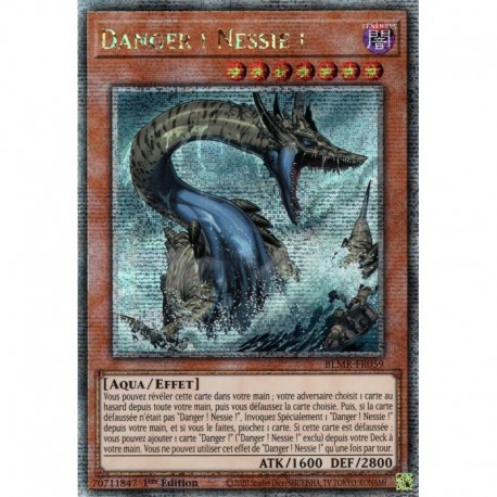 Danger ! Nessie ! (QCSE) [BLMR]