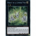 Héraut de la Lumière Pure (STR) [BLMR]