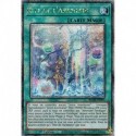 Rite de l'Aramesir (QCSE) [BLMR]