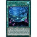 Forêt des Fleurs Perdues (UR) [BLMR]