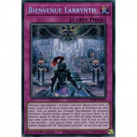 Bienvenue Labrynth (STR) [BLMR]