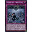 Bienvenue Labrynth (STR) [BLMR]