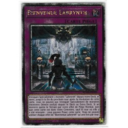 Bienvenue Labrynth (QCSE) [BLMR]