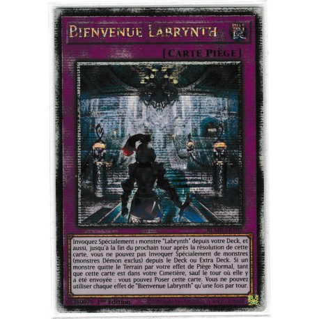 Bienvenue Labrynth (QCSE) [BLMR]