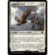 (Foil) Blanche - Aigles du nord (C) [LTR]