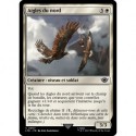 (Foil) Blanche - Aigles du nord (C) [LTR]