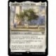 (Foil) Blanche - Floraison de l'Arbre blanc (R) [LTR]